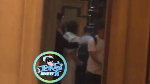 娱乐大爆料向佐是谁啊,揭秘向佐的真实身份与背景  第2张