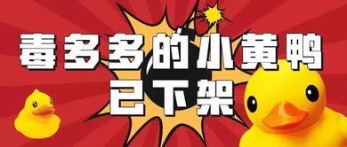 遇见小黄鸭合伙人爆料视频  第2张